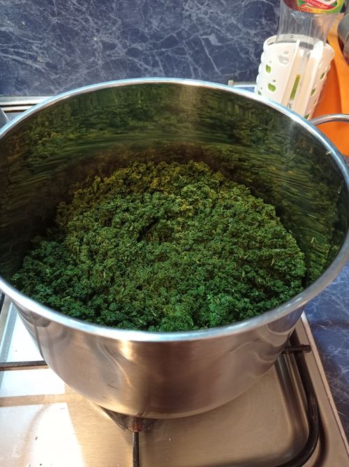 Иван-чай заготовка, ферментация, сушка