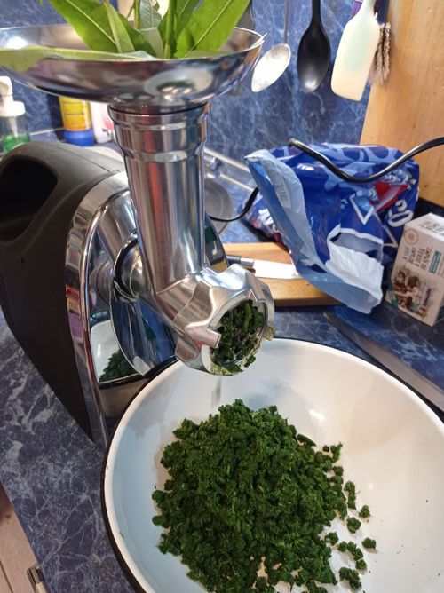 Иван-чай заготовка, ферментация, сушка