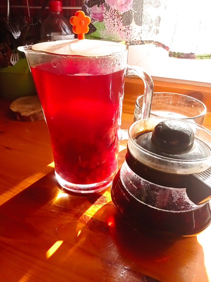 Калина полезные качества