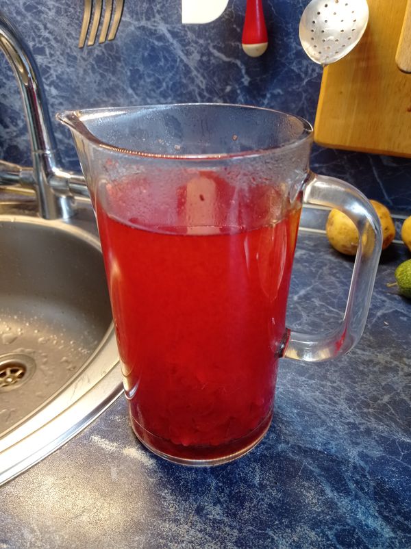 Калина полезные качества