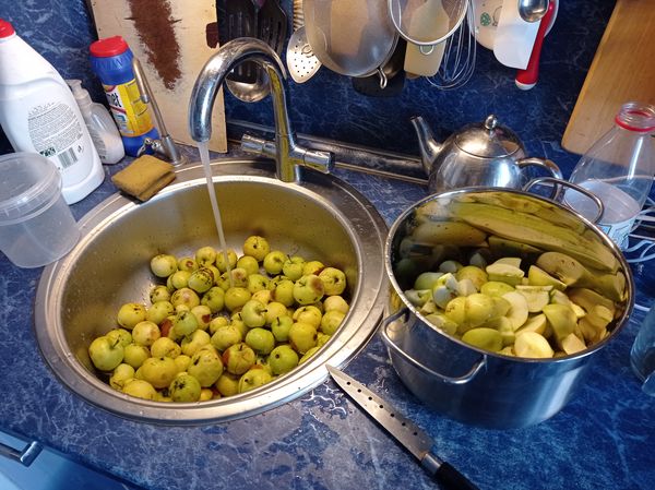 Пастила Белевская