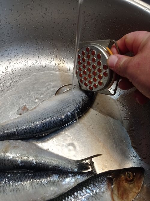 Селедка жареная