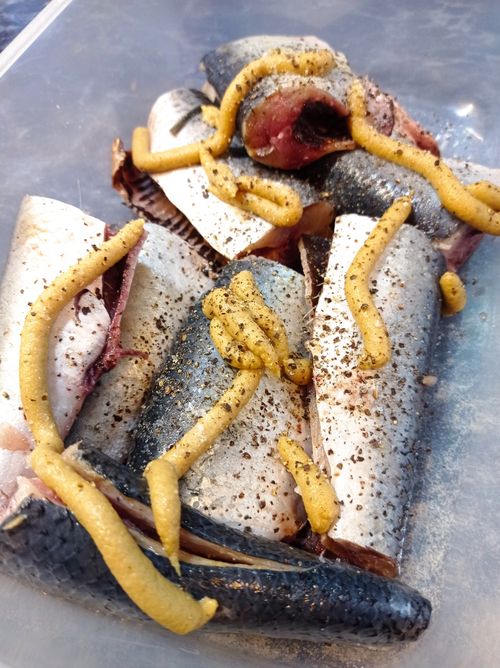 Селедка жареная