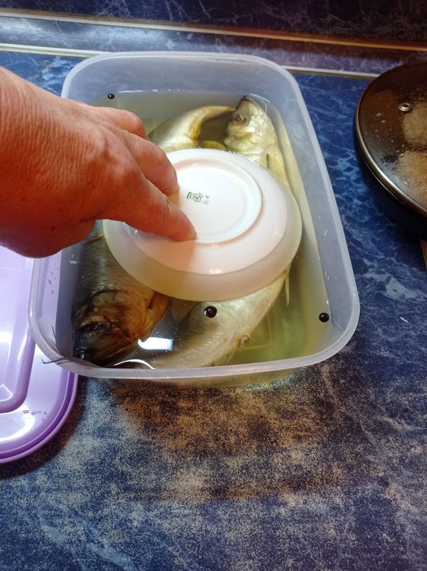 Селедка по рецепту дальневосточных моряков